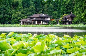 Spring in Hangzhou: A Stunning Display of Beauty!