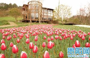 Guizhou Plans to Add 12 Provincial Forest Health and Leisure Pilot Bases