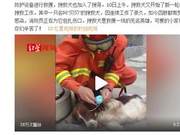 Heartbreaking! Quanzhou Hotel Rescue Dogs 'Beibei' Infected with Limb Infections; Previously Found Person in 15 Minutes