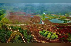 South Lake Red Maples in Mist: Chongqing's Charming Spring Arrives