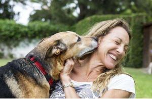 5 Characteristics of ‘Dog-Attracting Body Type’, Unexplored Dogs, Netizens: So Envious!