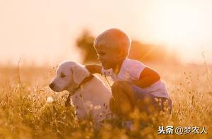 Life is a Landscape, Years are Passersby