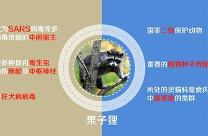 Decoding Wild Animals' 'Biological Codes': A Dual Nature – Angel and Devil