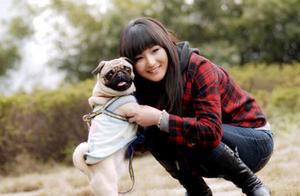 Warning: Stop Raising Baguio Dogs – These 5 Places Will Shock You!