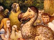 When Humans Extinguish the Wandering Turtle Bird, Who Knows What Troubles Will Await Us in the Future?
