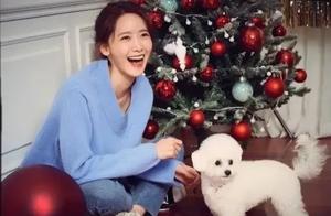 This famous star is having a very happy time at home playing with their dog, wearing simple clothes. Do you recognize them?