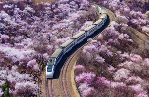 How to Complete a 5-Day Spring Trip to Beijing? Day 2: Badaling Bird Nest