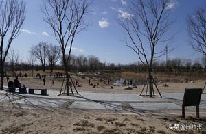 Beijing's North Fifth Ring Park Comparable to Forest Park at Orson's