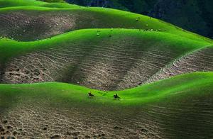 Yili Features Tuluhan Apricot Blossoms and Karasu Grassland