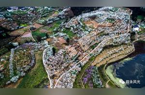 Ten Thousand Acres of Flower Sea! Is There a Hidden Paradise in Luzhou? Plus, a Stunning Panoramic Mountain Road!