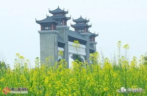 Listening Lake at the Foot of Xiqiao Mountain: 130 Acres of Rapeseed Flowers in Full Bloom, Experiencing the Essence of Spring!