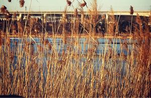 Beijing Yongding River Green River Park South Cycling