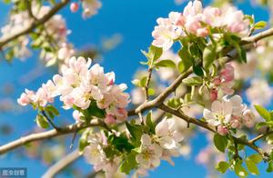 The Speed of Spring, Always Unexpected
