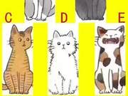 Five Cats Choose One: Test Your Image in Other People's Eyes?