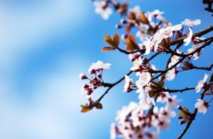 Spring: The Beautiful Season of Sowing Hope