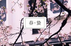Stay & Explore | Enjoy Mountain Cherry Blossoms, Private Villas, Hot Tubs, and Horseback Riding in Ninghai!