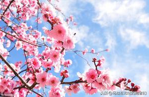 Spring Arrives, Want to Run? Pay Attention to These 4 Points, or You'll Offend Your Family!