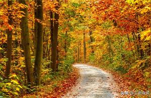 As long as you keep walking, there will be scenery at the end.