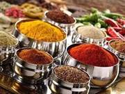 Spice and Flavoring Ingredients