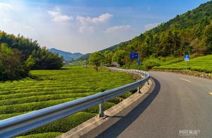 Don't Miss Spring! This Lush Green Jiangnan Town is Perfect for Off-the-Beaten-Path Cherry Blossom Viewing