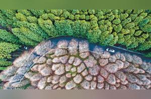 Stone Desert Turns Green