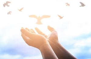 Money Reveals Human Nature, Time Verifies Hearts