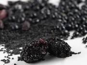 Which Black Foods Can Boost Immunity? Sharing Four Suitable Exercises for Winter Fitness