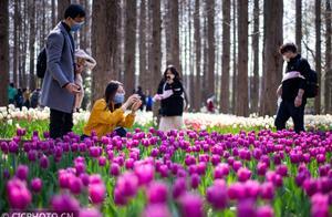 Nanjing, Jiangsu: Enjoying Spring Scenery and Blooming Flowers