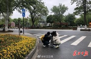 Wuhan East Lake Opens: Ship Capacity Not Exceeding 30%
