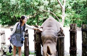 Yunnan Pu'er Has a Wonderful Tropical Animal Kingdom, Where You Can Play with Red Pandas and Long-Armed Monkeys