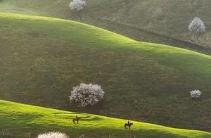 Sending You a ‘Plum Blossom Rain’ Spring