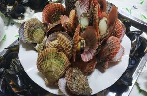 Navigating the Crowded Seas of Life: Enjoying Shellfish and Seafood at Home