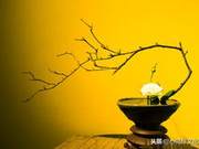 Xu Jinru | Soulmate