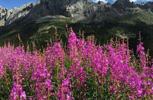 Beautiful Gan Na Scenery Showcase