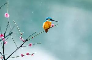Live Well, Everything Will Pass; Spring Will Return on Time