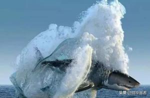 Wow! Such Amazing Wonders of the World, Must Be Enjoyed with Friends!
