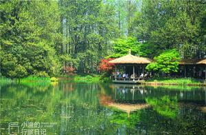 Must-Visit Free Attractions in Hangzhou: 'Seizing' Half of West Lake's Spring Beauty – Don't Miss It!