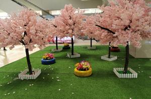 Enjoying Cherry Blossoms Doesn't Require Going to Wuda; You Can See All the Beautiful Scenery Right Before Your Eyes – Do You Like It?