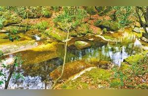 Tourism in GansuBaifugou, a Watery Secret Realm in the Deep Qinling Mountains