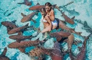 Like a Nurse with a Nurse's Hat Shark, Known as Nurse Shark, with a Length of 3 Meters But Doesn't Attack Humans!