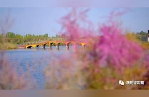 Yellow Lake – Sakly – Xiao Jiao’s Travel Preparations Volume 10