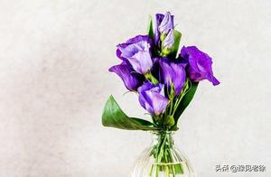 Which Bouquet Do You Like at First Sight? Find Out If You'll Be Wealthy or Not in This Lifetime