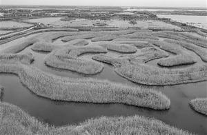 Water Maze to the Extreme
