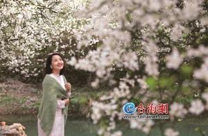 Nanping: Osage Orange Blossoms Attract Tourists Seeking 'Snow' Spring
