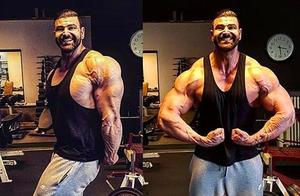 Comprehensive Understanding of Arm Structure, Help You Build a Golden Arm, and Make Your Arms a Sign of Fitness Results
