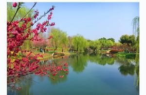 Visual Jiangsu: Sixteen – Changzhou: Seeking Dreams in Peach Blossom Source, Experiencing ‘Peach Blossom Viewing’ on 6000-Year ( refers to raised earthen mounds)