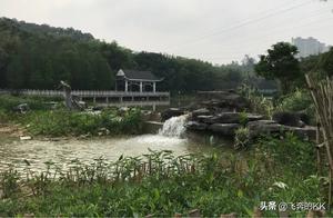 At the time of blossoming flowers, let's all come to Nanning Park to enjoy the scenery, full of spring colors, have you been there?