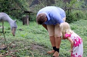 The Most Polite Bird in the World: Bowing to Return Gestures, Giving Gifts When Happy