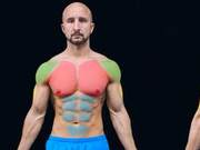 German Brother Calimove: 8 Stylish Push-Up Variations to Train Your Chest, Back, and Abs