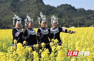 Canals: Rapeseed Flowers Paint a Scroll for Rural Revitalization